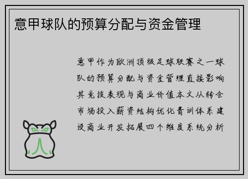 意甲球队的预算分配与资金管理