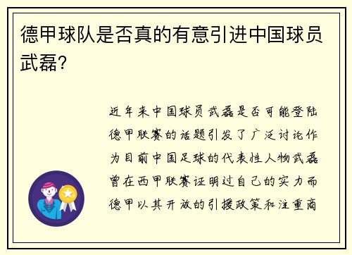 德甲球队是否真的有意引进中国球员武磊？