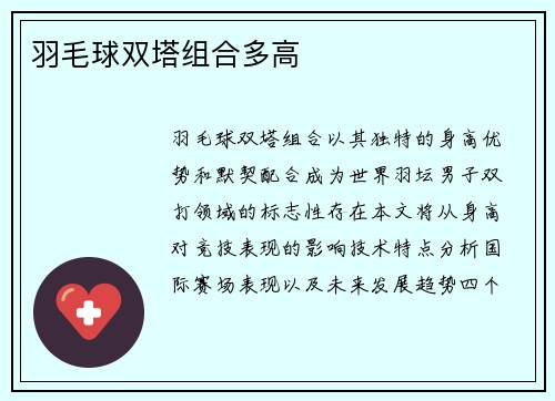羽毛球双塔组合多高