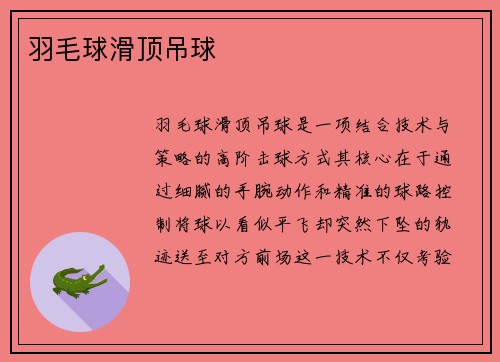 羽毛球滑顶吊球