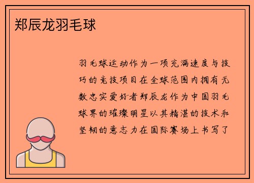 郑辰龙羽毛球